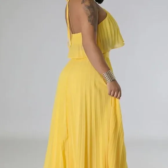 Two Piece Set Pleated Maxi Skirt and Crop Top - Picture 2 of 8